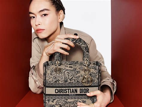 rebelle lady dior|Dior handbags.